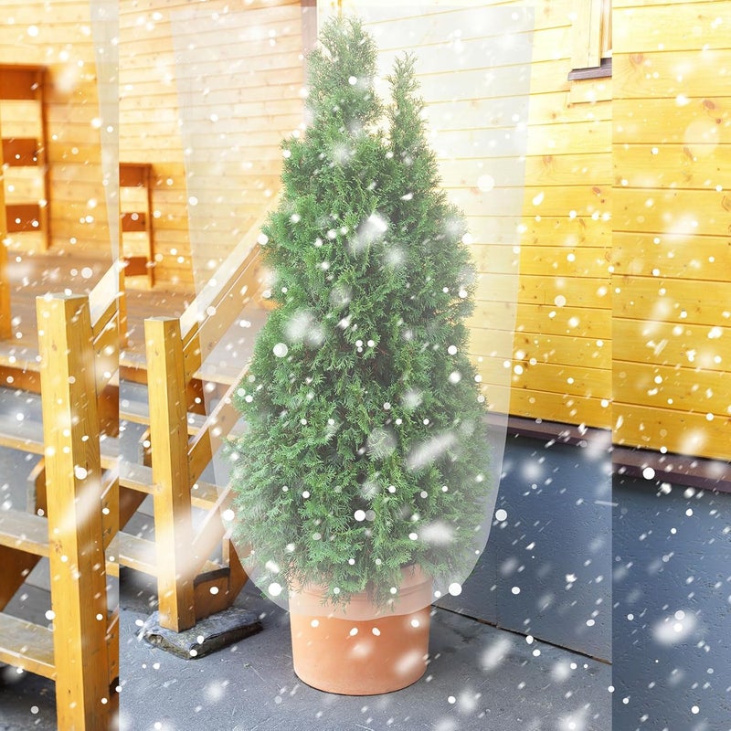 Perthlin 6 Pcs Winter Plant Covers Freeze Protection Small Plastic Clear Film Cover Shelter Bags Waterproof Frost Cloth for Outdoor Plants Greenhouse Garden Rain Frost Protection(47.2 x 71 Inch) - Image 2